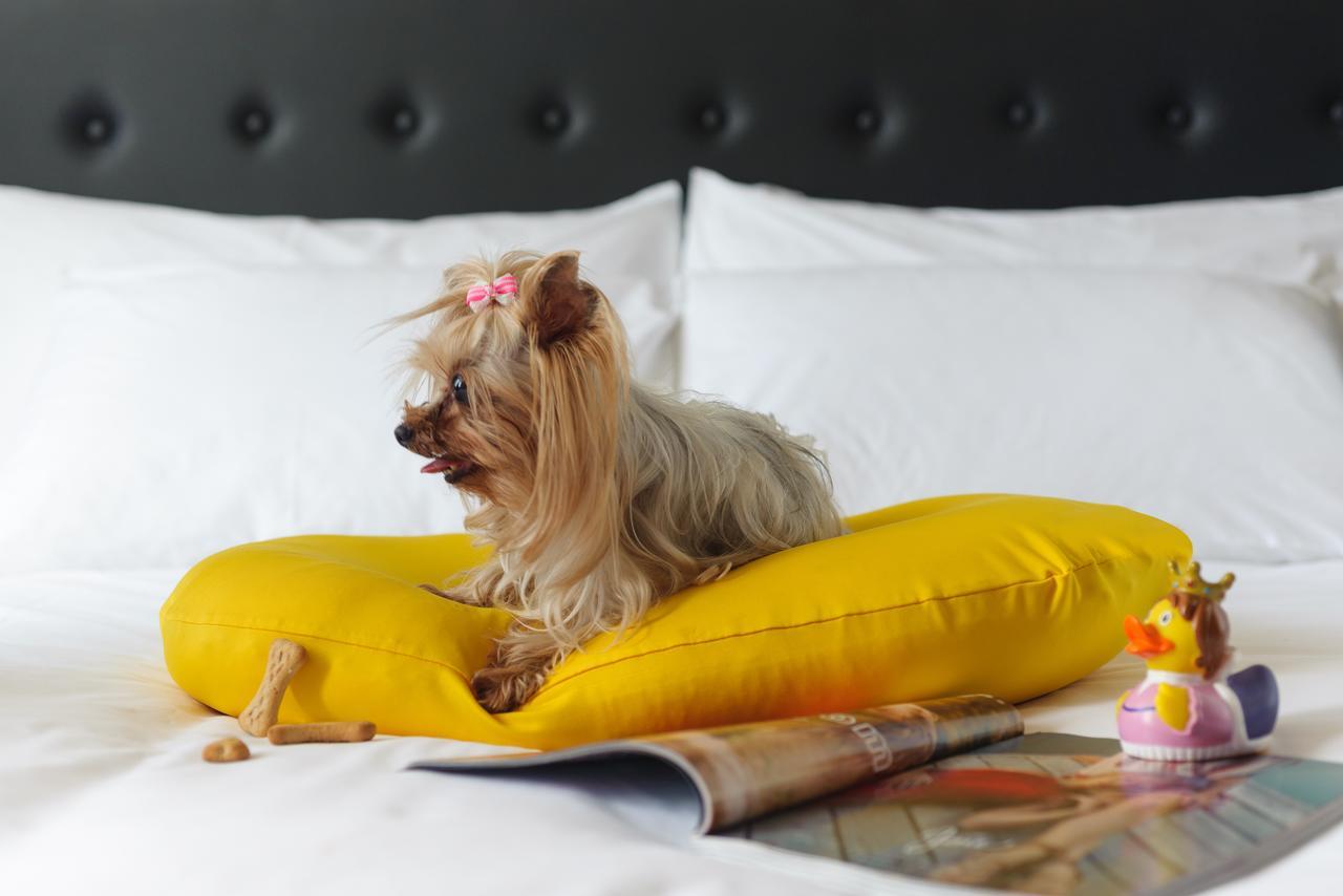 Nyx Tel Aviv Hotel Kültér fotó